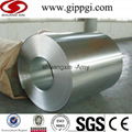 GALVANIZED STEEL COIL 