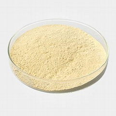 xanthan gum