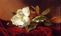 A Magnolia on Red Velvet by Martin Johnson Heade