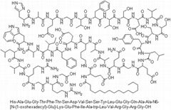 Liraglutide