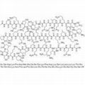 Thymosin β4