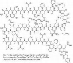 ACTH(1-39)