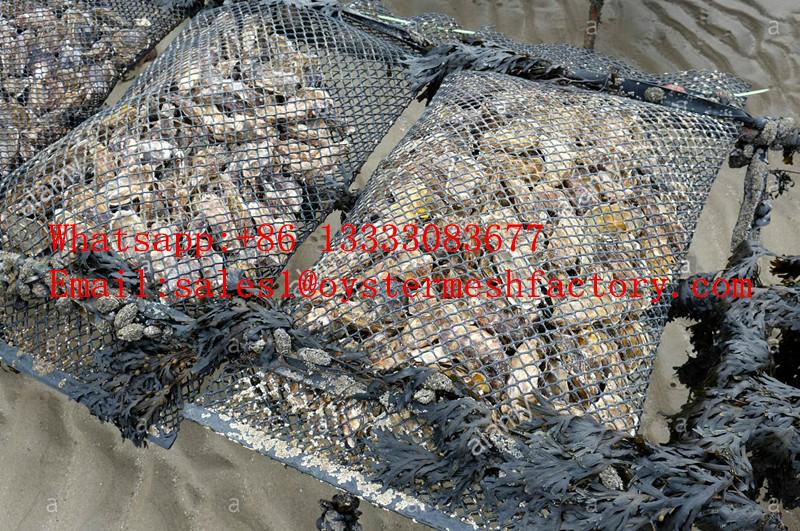 Japan market use Aquiculture oyster mesh bag china factory 4