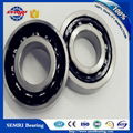 ZYS Angular Contact B7001C Ball Bearing 12*28*8mm with Si3N4 Balls  5