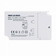 Zigbee two-channel Dimmable Driver