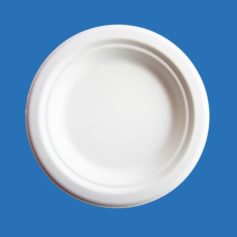 YP06 Best quality of Disposable biodegradable tableware 