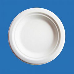 YP06 Best quality of Disposable biodegradable tableware 