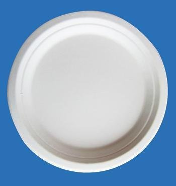 Bleached 9 Inch Round Diposable Bagasse Paper Plates