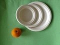 Bleached 9 Inch Round Diposable Bagasse Paper Plates 2