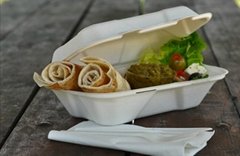 9*6*3 disposable takeaway fast food bulk pack paper clamshell