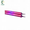 T8 LED Grow Tube for vertical farm