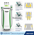  Ce / FDA Approved Cooling Max -15′c Safety Lipocryo Cryolipolysis Slimming Fat  1