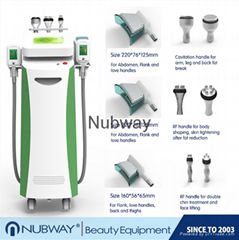  Ce / FDA Approved Cooling Max -15′c Safety Lipocryo Cryolipolysis Slimming Fat 