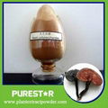 Ganoderma lucidum (Reishi) Extract