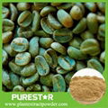 Green coffee bean extract Chlorogenic Acid