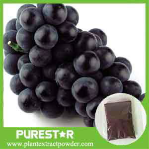 Giant Knotweed Extract Resveratrol