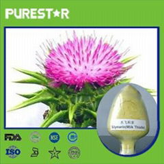 Milk Thistle Extract Silymarin