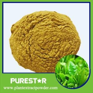 Green Tea Extract(Polyphenol,Catechins,EGCG) 1