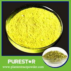 Sophora Japonica Flower Extract Rutin