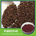 Grape Seed Extract OPC