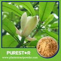 Magnolia Bark Extract Magnolol