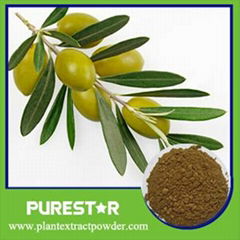 Olive Leaf Extract