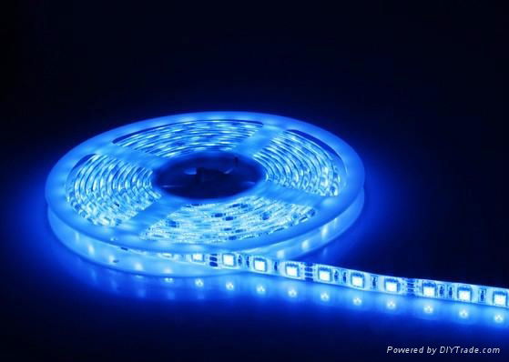 DC12V 60leds Waterproof Flexible LED Strip Light SMD5050 LED Strip with CE &RoHS