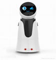 Smart Walking Robot for Healthcare with