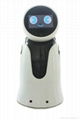 Smart Walking Robot for Healthcare with Microphone and Mini Camera 5