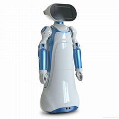 Intelligent Humanoid Walking Robot with Arms