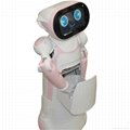 Intelligent Humanoid Walking Robot with Arms 3