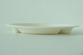 Biodegradable Paper Pulp Sugarcane Bagasse Tableware 3Compartment Plate10" 4