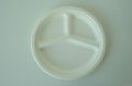 Biodegradable Paper Pulp Sugarcane Bagasse Tableware 3Compartment Plate10" 1