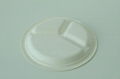 Biodegradable Paper Pulp Sugarcane Bagasse Tableware 3Compartment Plate10" 3