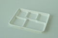  disposable compostable food packaging  5 Compartment   Tray  2