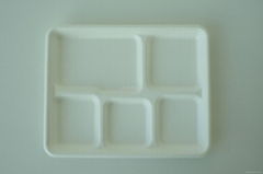  disposable compostable food packaging  5 Compartment   Tray 