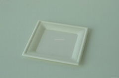 Disposable  Paper Pulp Sugarcane Bagasse food tray Square Plate 6" 8" 10"  