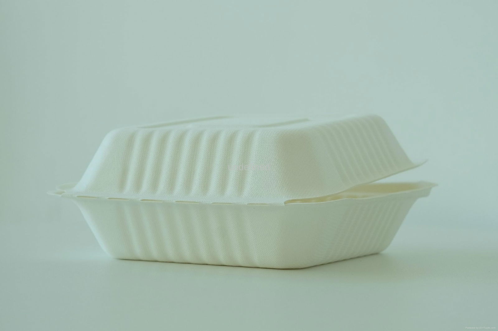 Disposable compostable bagasse clamshell 6"