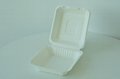 Disposable compostable bagasse clamshell 6" 2