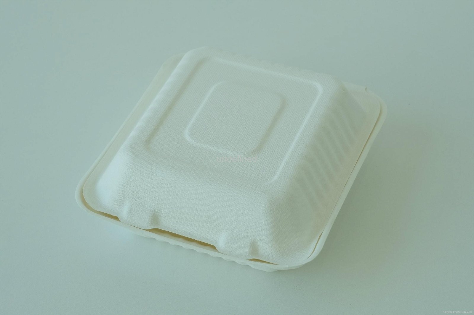 Disposable compostable bagasse clamshell 6" 3
