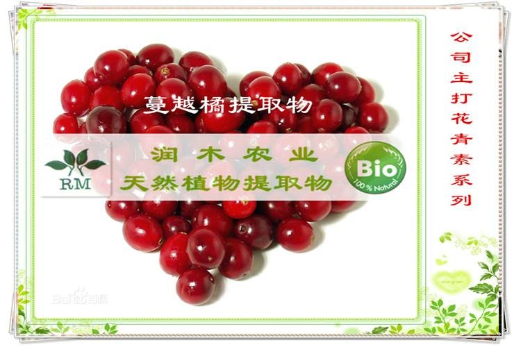 蔓越莓提取物原花青素50％PAC的价格 润木 4