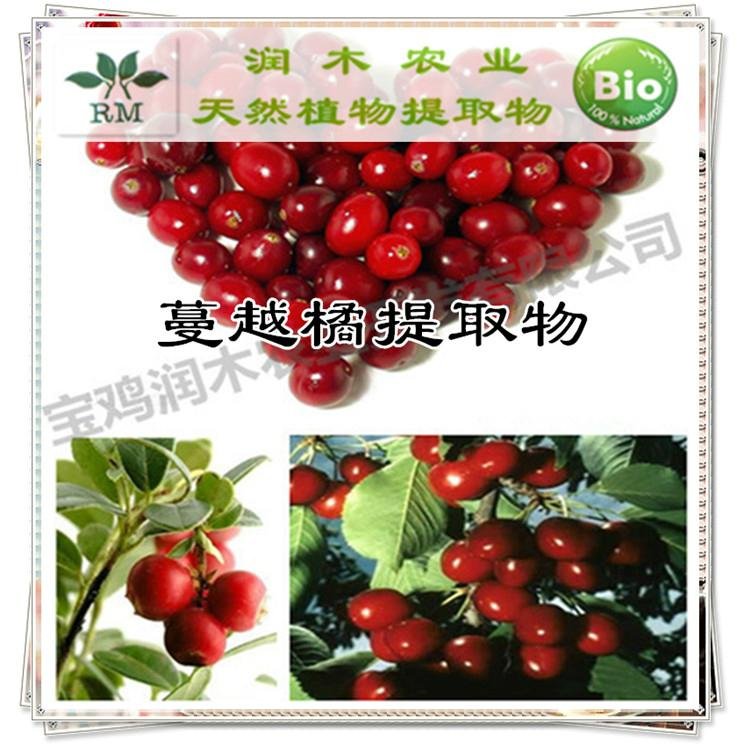 蔓越莓提取物原花青素50％PAC的价格 润木 5