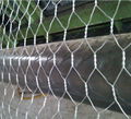 Anping factory hot dipped galvanized hexagonal chicken wire mesh 1