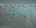embroidery lace 2