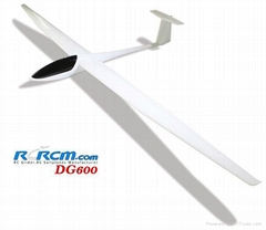 DG600 scale rc airplane of rcrcm