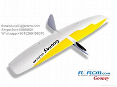 Gooney new composite rc airplane of rcrcm