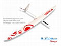 Strega 2.9m wingspan rc glider model 