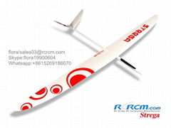 Strega 2.9m wingspan rc glider model 