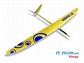 Strega 2.9m wingspan rc glider model  2