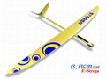 Strega 2.9m wingspan rc glider model  4